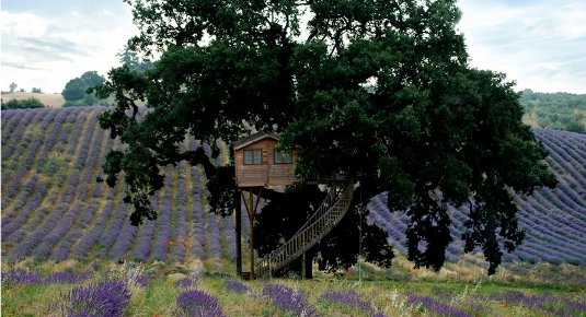 pernottamento casa sull albero