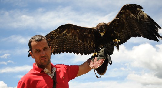 centro rapaci tirolo