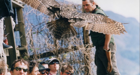 centro recupero rapaci alto adige